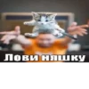I'm cringe 14