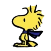 Snoopy 13