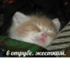 QbaJPahcFrkvmIE_by_stickers_stealer_bot 16