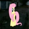 KQTWMJYSCH_by_stikerykkk_bot 20