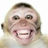 MONKEY 20