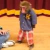 MONKEY 21