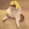 Невошедшие 💕 14