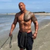 The Rock by 14