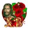 Resurrected 26