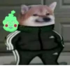 Slav Cheems | 6
