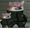 Slav Cheems | 9