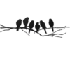 Separator 6