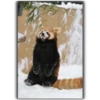 Panda 5
