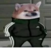 Slav Cheems | 11