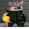 Slav Cheems | 12
