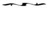 Borders 11