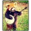 Panda 9
