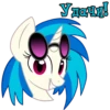 I'm Vinyl 15