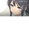 Seishun Buta Yarou wa Bunny Girl Senpai no Yume wo Minai 12