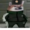 Slav Cheems | 17