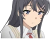 Seishun Buta Yarou wa Bunny Girl Senpai no Yume wo Minai 15