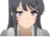 Seishun Buta Yarou wa Bunny Girl Senpai no Yume wo Minai 20