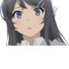 Seishun Buta Yarou wa Bunny Girl Senpai no Yume wo Minai 23