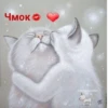 🥰🫶NIKITA and ❤️‍🔥🫶ПУЛЯ🫶=❤ 17