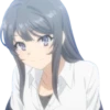 Seishun Buta Yarou wa Bunny Girl Senpai no Yume wo Minai 27