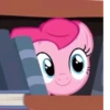 Pinkie | 24