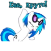 I'm Vinyl 27
