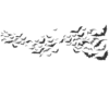 Separator 22