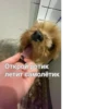 Варька и её дрYзьR 21