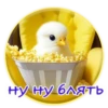 Crazy Chicken! 4