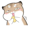 Pudding Hamster 6