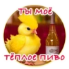 Crazy Chicken! 6