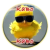 Crazy Chicken! 7