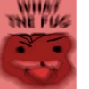 OH FUG 6