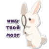 НейроЗайки 5