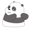 Panda LizF 6