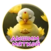 Crazy Chicken! 8