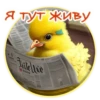 Crazy Chicken! 9