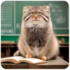 Autumn Manul 5