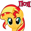 I'm Sunset Shimmer 9
