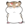 Pudding Hamster 12