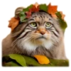 Autumn Manul 7