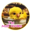 Crazy Chicken! 12