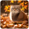Autumn Manul 8