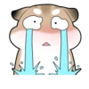 Pudding Hamster 14