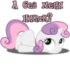 I'm Sweetie Belle 13