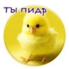 Crazy Chicken! 16