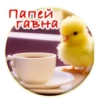 Crazy Chicken! 17