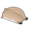 Pudding Hamster 16
