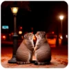 Autumn Manul 11